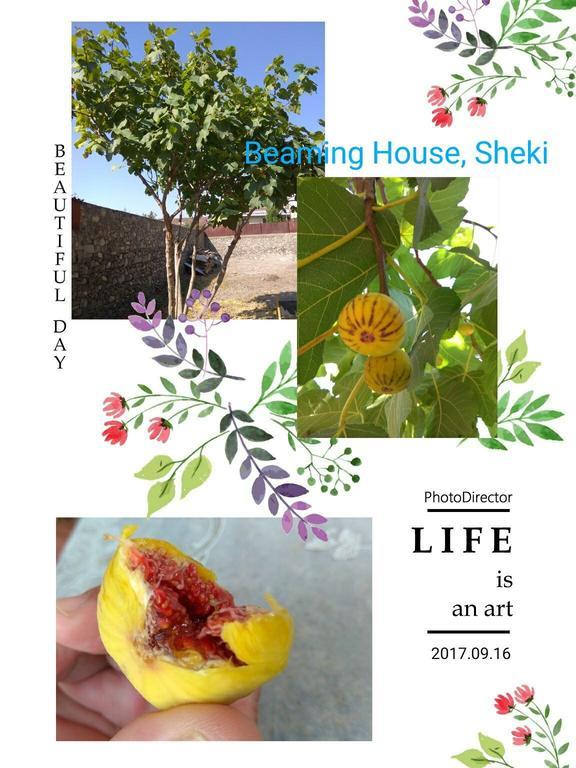 Beaming_House Hotel Sheki Luaran gambar